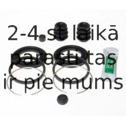 BUDWEG CALIPER 204327