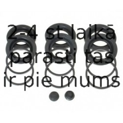 BUDWEG CALIPER 204033