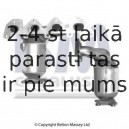 Katalizators BM CATALYSTS BM91326H