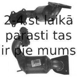 Katalizators BM CATALYSTS BM80232H
