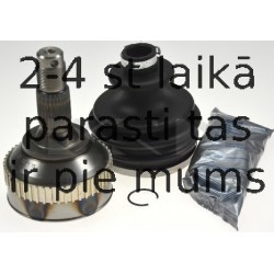 SPIDAN 21098