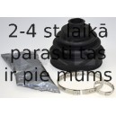 SPIDAN 190971