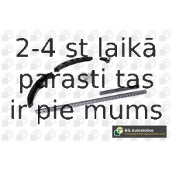 Sadales vārpstas piedziņas ķēdes komplekts BGA TC2005K