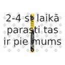 Stikla tīrītāja slotiņa SWF 119328