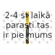 Stikla tīrītāja slotiņa SWF 119265