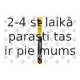 Stikla tīrītāja slotiņa SWF 119260