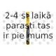 Stikla tīrītāja slotiņa SWF 119256