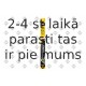 Stikla tīrītāja slotiņa SWF 119255