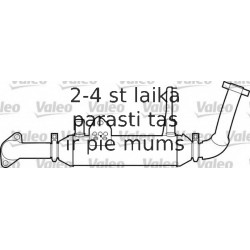 Radiators, Izplūdes gāzu recirkulācija VALEO 817749