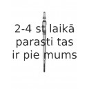 Kvēlsvece BERU GE123