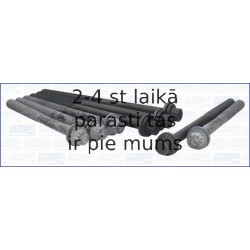AJUSA 81050900
