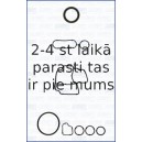 AJUSA 54176000