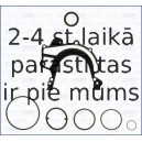 AJUSA 54155100