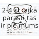 AJUSA 54129400
