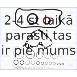 AJUSA 54129400