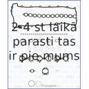 AJUSA 53012800