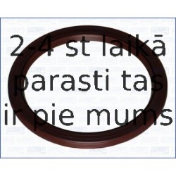 Уплотняющее кольцо, коленчатый вал AJUSA 15044900