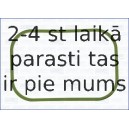 AJUSA 13238000