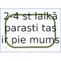 AJUSA 13238000