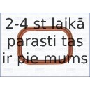 AJUSA 13169800