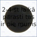 AJUSA 00856500