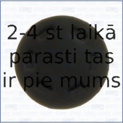 AJUSA 00856500