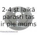 BLUE PRINT ADT343167