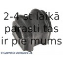 BLUE PRINT ADG080215