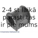 BLUE PRINT ADG080197