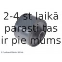 BLUE PRINT ADJ138014