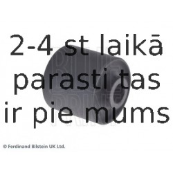 BLUE PRINT ADJ138025