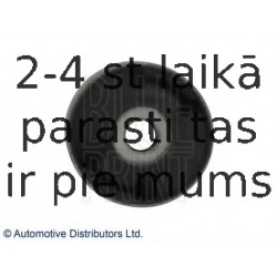 BLUE PRINT ADG080163