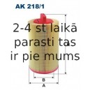 FILTRON AK218/1