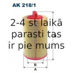 FILTRON AK218/1