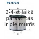 FILTRON PE973/6