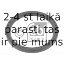 Vārpstas blīvgredzens FEBI BILSTEIN 24761