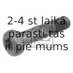 Skrūve FEBI BILSTEIN 24385