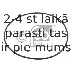 Уплотняющее кольцо, ступица колеса FEBI BILSTEIN 09923