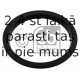 Vārpstas blīvgredzens, Riteņa rumbas gultnis FEBI BILSTEIN 09861