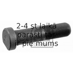 Riteņa stiprināšanas skrūve FEBI BILSTEIN 09298