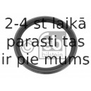 Vārpstas blīvgredzens, Riteņa rumba FEBI BILSTEIN 08007