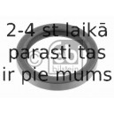 Vārpstas blīvgredzens, Bremžu izvērsēja vārpsta FEBI BILSTEIN 07482