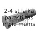 Riteņa stiprināšanas skrūve FEBI BILSTEIN 07304