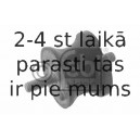 Piekare, Pārnesumkārba FEBI BILSTEIN 06624