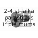 Skrūve FEBI BILSTEIN 05560