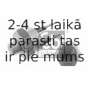 Termoslēdzis, Automātiskā degmaisījuma bagātināšanas sist. FEBI BILSTEIN 05282