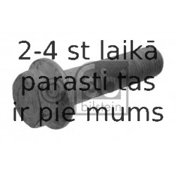 Skrūve FEBI BILSTEIN 04851