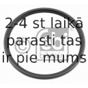 Vārpstas blīvgredzens, Planetārā pārnesumkārba FEBI BILSTEIN 04270