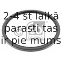Vārpstas blīvgredzens, Planetārā pārnesumkārba FEBI BILSTEIN 04269