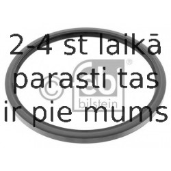 Vārpstas blīvgredzens, Planetārā pārnesumkārba FEBI BILSTEIN 04269